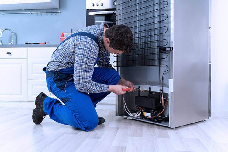 Refrigerator repair technician